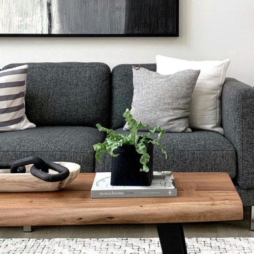 a couch with a coffee table with a plant and decor on it